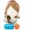 Show in main carousel: GURU Treat Challenger Interactive Treat Dispensing Dog Toy slide 3 of 5
