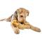 Show in main carousel: GURU Soft Scents Dog Scented Squeak & Crinkle Plush Dog Toy slide 4 of 5