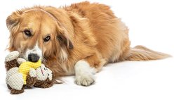 GURU Loveys Monkey Plush Interactive Squeak Dog Toy slide 2 of 5