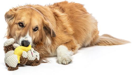 Show full view: GURU Loveys Monkey Plush Interactive Squeak Dog Toy slide 4 of 5