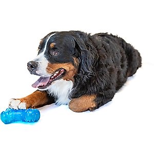 GURU No Begging! Bone Treat Dispenser & Chew Dog Toy