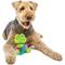 Show in main carousel: GURU Loveys Frog Plush Interactive Squeak Dog Toy slide 4 of 6