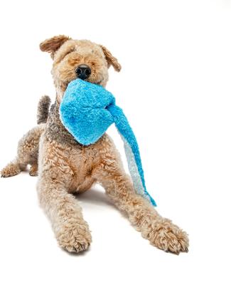 Show full view: GURU Hide-A-Tail Shark Crinkle & Squeak Puzzle Dog Toy, Medium slide 3 of 5