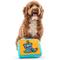 Show in main carousel: GURU Juggling Guru Fun Box Interactive Treat & Puzzle Dog Toy slide 5 of 6