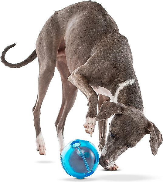 Show full view: GURU Ball Interactive Treat Dispensing Dog Toy slide 4 of 5