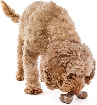 Show full view: GURU Bacon Bone Chew Dog Toy slide 2 of 4