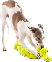 GURU Squeaking Tennis Snuffle Rope Interactive Tug & Treat Dog Toy, Small: 12-in