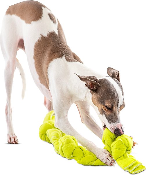 GURU Squeaking Tennis Snuffle Rope Interactive Tug & Treat Dog Toy