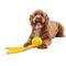 Show in main carousel: GURU Bonanza Ball Fetch & Treat Floating Water Dog Toy slide 2 of 5