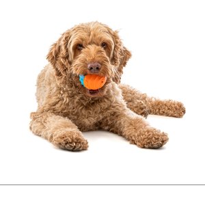 GURU Crunch & Squeak Ball Ultimate Fetch Floating Water Dog Toys, 2 count