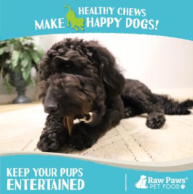 Show full view: Raw Paws 6-inch Camel Skin Dog Chew, 15 count slide 6 of 8