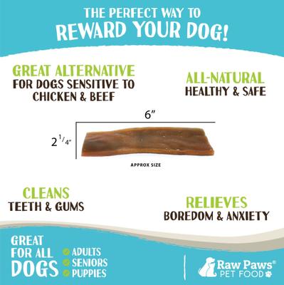 Show full view: Raw Paws 6-inch Camel Skin Dog Chew, 15 count slide 4 of 8