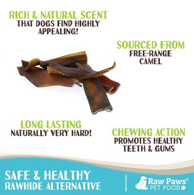 Show full view: Raw Paws 6-inch Camel Skin Dog Chew, 15 count slide 3 of 8