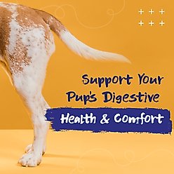 PupGrade Anal Gland Support Supplement, 60 count slide 2 of 6