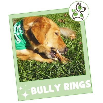 Show full view: Nature Gnaws Beef Bully Rings Natural Dog Chew Treats, 5 count slide 8 of 9