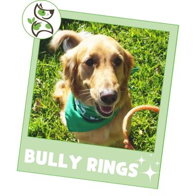 Show full view: Nature Gnaws Beef Bully Rings Natural Dog Chew Treats, 5 count slide 7 of 9