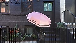 pupp st. Puppster Umbrella, Pink