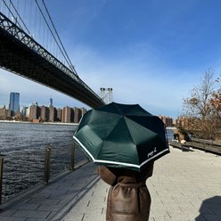 pupp st. Puppster Umbrella, Green