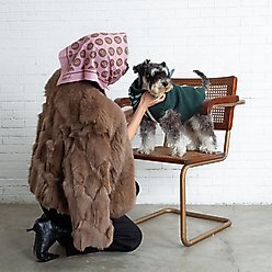 pupp st. Puppster Dog Bandana, Pink