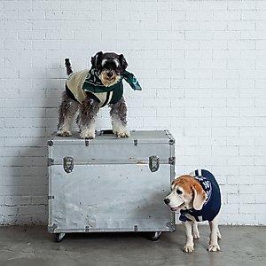 pupp st. Puppster Dog Bandana, Green