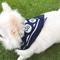 Show in main carousel: pupp st. Puppster Dog Bandana, Blue slide 1 of 4