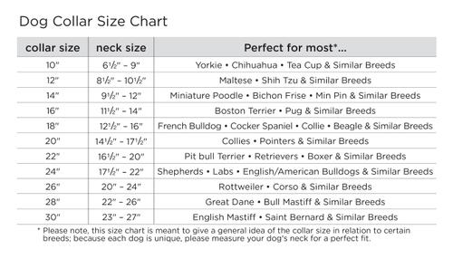 Show full view: Angel Rotterdam Bones Standard Dog Collar, Red, 16 x 3/4-in slide 5 of 7