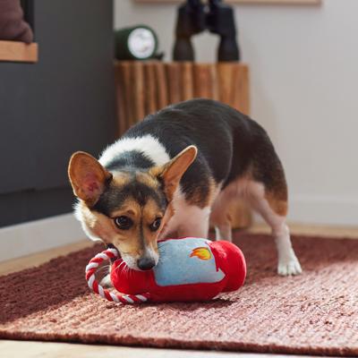 Show full view: Frisco Camping Lantern Plush with Rope Squeaky Dog Toy, Medium/Large slide 4 of 4