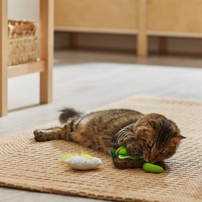 Show full view: Frisco Brunch Avocado Toast & Egg Plush Cat Toy with Catnip, 2 count slide 3 of 3