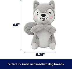 Frisco Camping Squirrel Plush Squeaky Dog Toy, Small/Medium slide 2 of 6