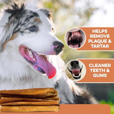 Show full view: Brutus & Barnaby 6-in Bully Sticks Dog Treats, 20 count slide 6 of 8