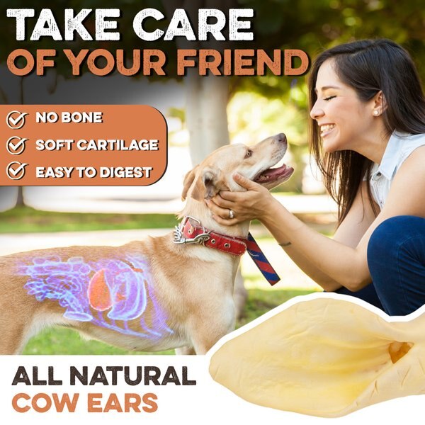 Brutus & Barnaby Premium Whole Cow Ears Puppy Natural Dog Chew