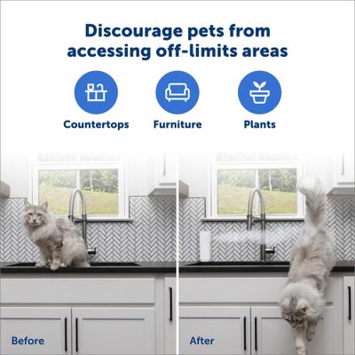 Show full view: PetSafe SSSCAT Unscented Dog & Cat Automatic Deterrent Spray slide 2 of 8