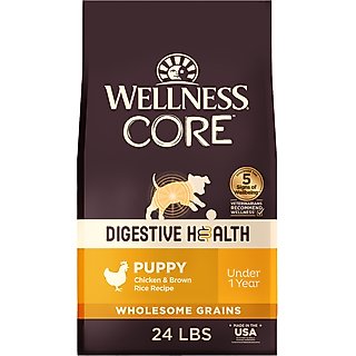 Wellness CORE Digestive Health Puppy Chicken & Brown Rice Dry Dog Food, 24-lb bag slide 1 of 9