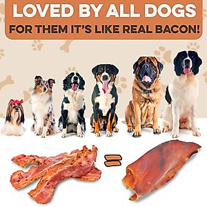 Brutus & Barnaby Thick Cut Whole Pig Ear Natural Dog Chew Treats, 10 count