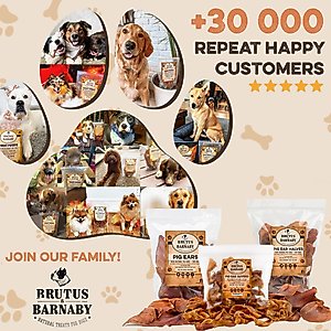 Brutus & Barnaby Thick Cut Whole Pig Ear Natural Dog Chew Treats, 10 count