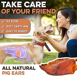 Brutus & Barnaby Thick Cut Whole Pig Ear Natural Dog Chew Treats, 10 count