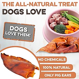 Brutus & Barnaby Thick Cut Whole Pig Ear Natural Dog Chew Treats, 10 count