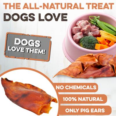 Show full view: Brutus & Barnaby Thick Cut Whole Pig Ear Natural Dog Chew Treats, 10 count slide 3 of 9