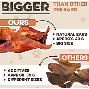 Brutus & Barnaby Thick Cut Whole Pig Ear Natural Dog Chew Treats, 10 count