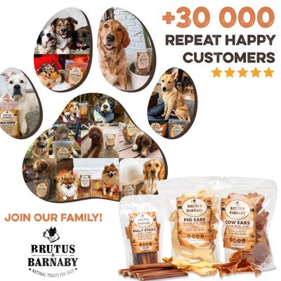 Show full view: Brutus & Barnaby 6-in Bully Sticks Dog Treats, 20 count slide 7 of 8