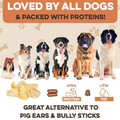 Show full view: Brutus & Barnaby Premium Whole Cow Ears Puppy Natural Dog Chew - 25 count slide 6 of 10