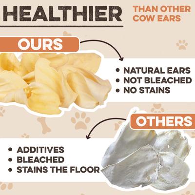Show full view: Brutus & Barnaby Premium Whole Cow Ears Puppy Natural Dog Chew - 25 count slide 3 of 10
