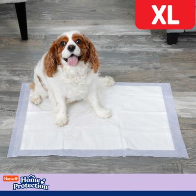 Show full view: Hartz Home Protection No Odor No Leaks Lavender Scented X-Large Dog Pads, 30 x 21-in, 60 count slide 8 of 11