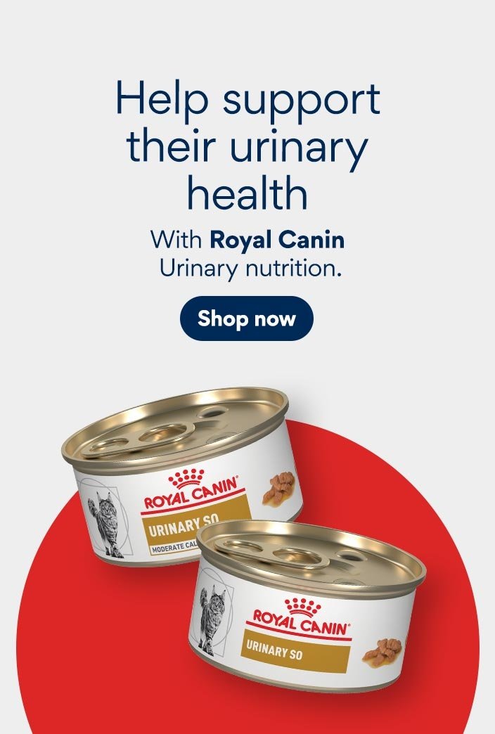 Help support their urinary health with Royal Canin Urinary nutrition. Shop now.