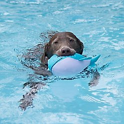 Fringe Studio Splashy Floating Dog Toy slide 2 of 4