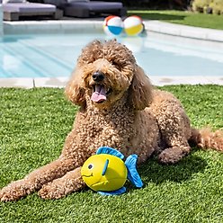 Fringe Studio Pipsqueak Floating Dog Toy slide 2 of 4
