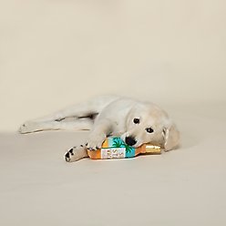 Fringe Studio Sip Stay Vacay Plush Dog Toy slide 2 of 3