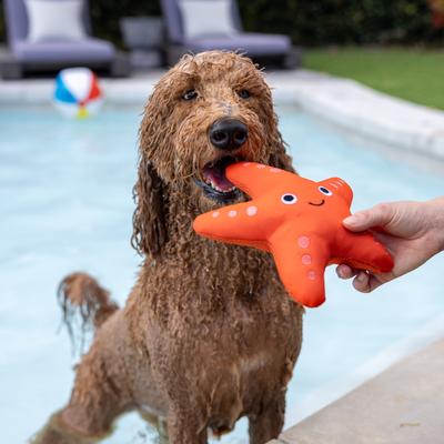 Show full view: Fringe Studio Shelly Floating Dog Toy slide 6 of 9