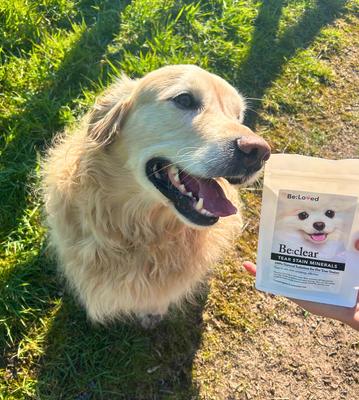 Show full view: Be:Loved Be:clear Natural Tear Stain Removal Supplement for Dogs & Cats, 200-g slide 5 of 5