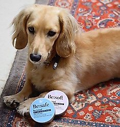Be:Loved Be:Safe First Aid & Ache Dog & Cat Paw & Nose Balm, 2.11-oz jar slide 2 of 4